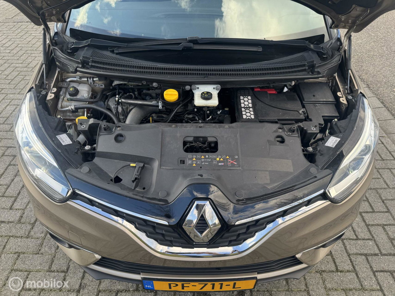 Renault Scénic