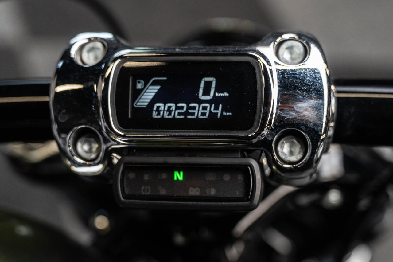 Harley-Davidson Softail