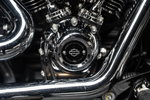 Harley-Davidson Softail