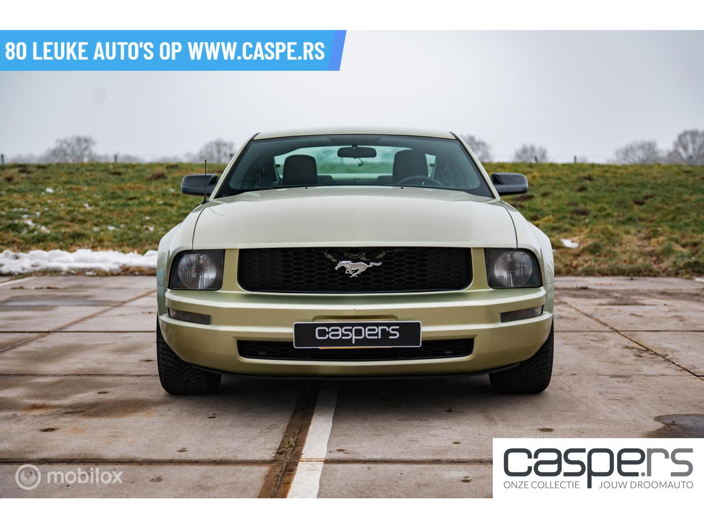 Ford USA Mustang 4.0 V6 | Handgeschakeld | LSD