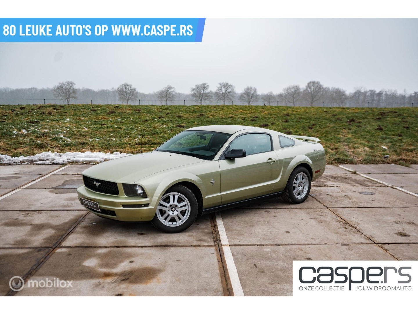 Ford USA Mustang 4.0 V6 | Handgeschakeld | LSD