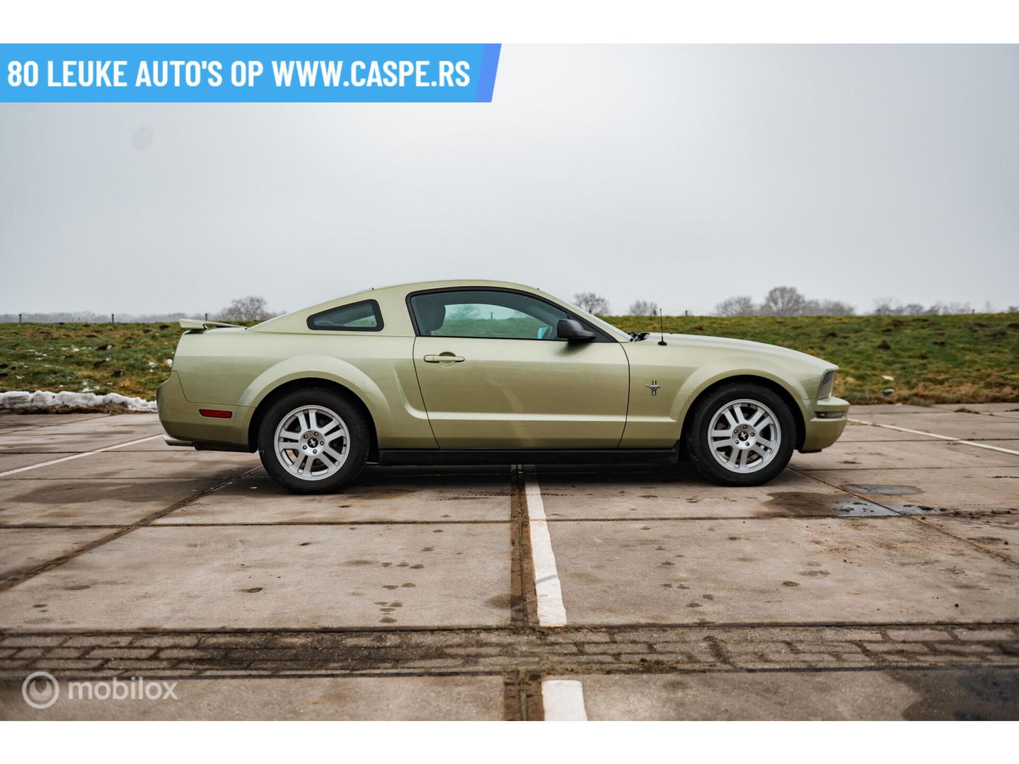 Ford USA Mustang 4.0 V6 | Handgeschakeld | LSD