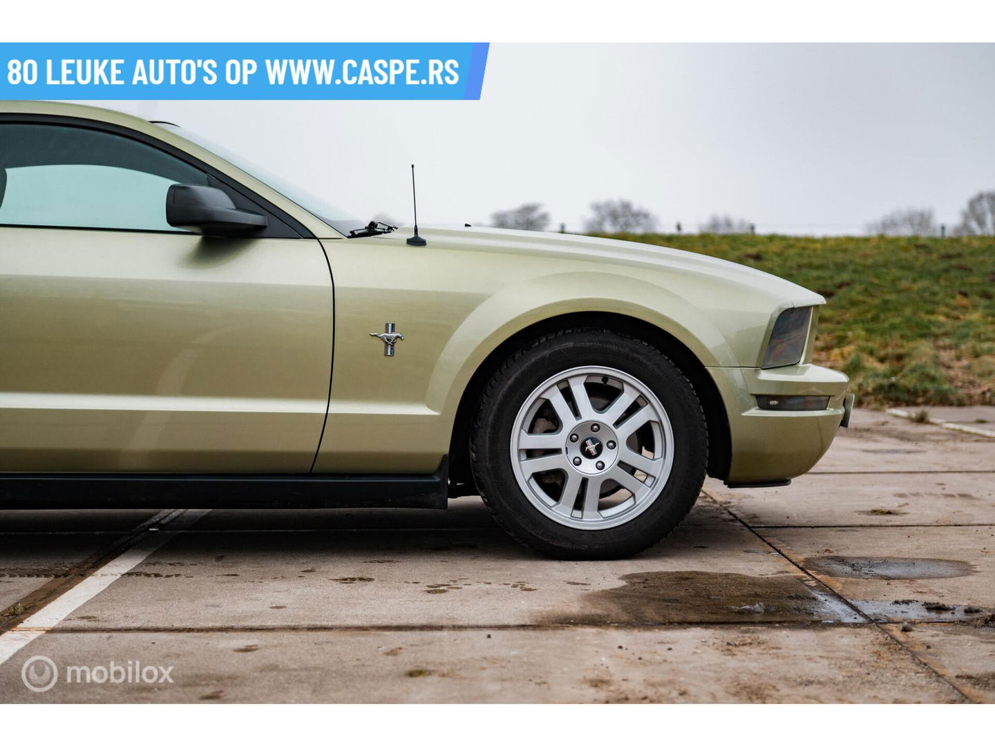 Ford USA Mustang 4.0 V6 | Handgeschakeld | LSD