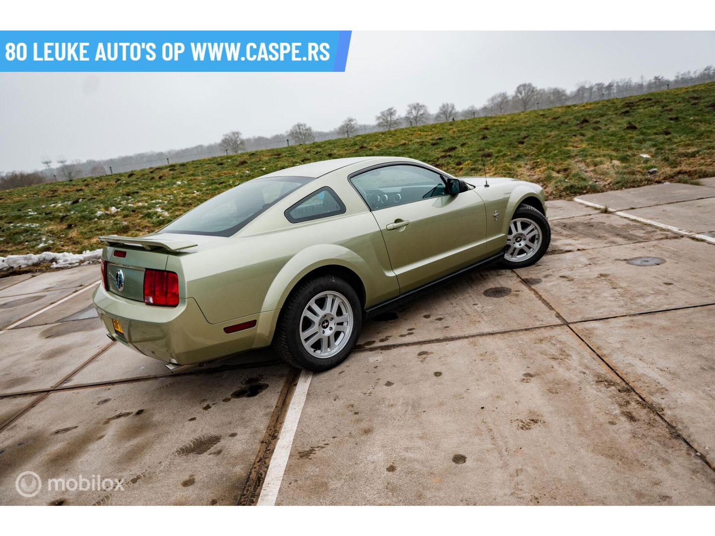 Ford USA Mustang 4.0 V6 | Handgeschakeld | LSD