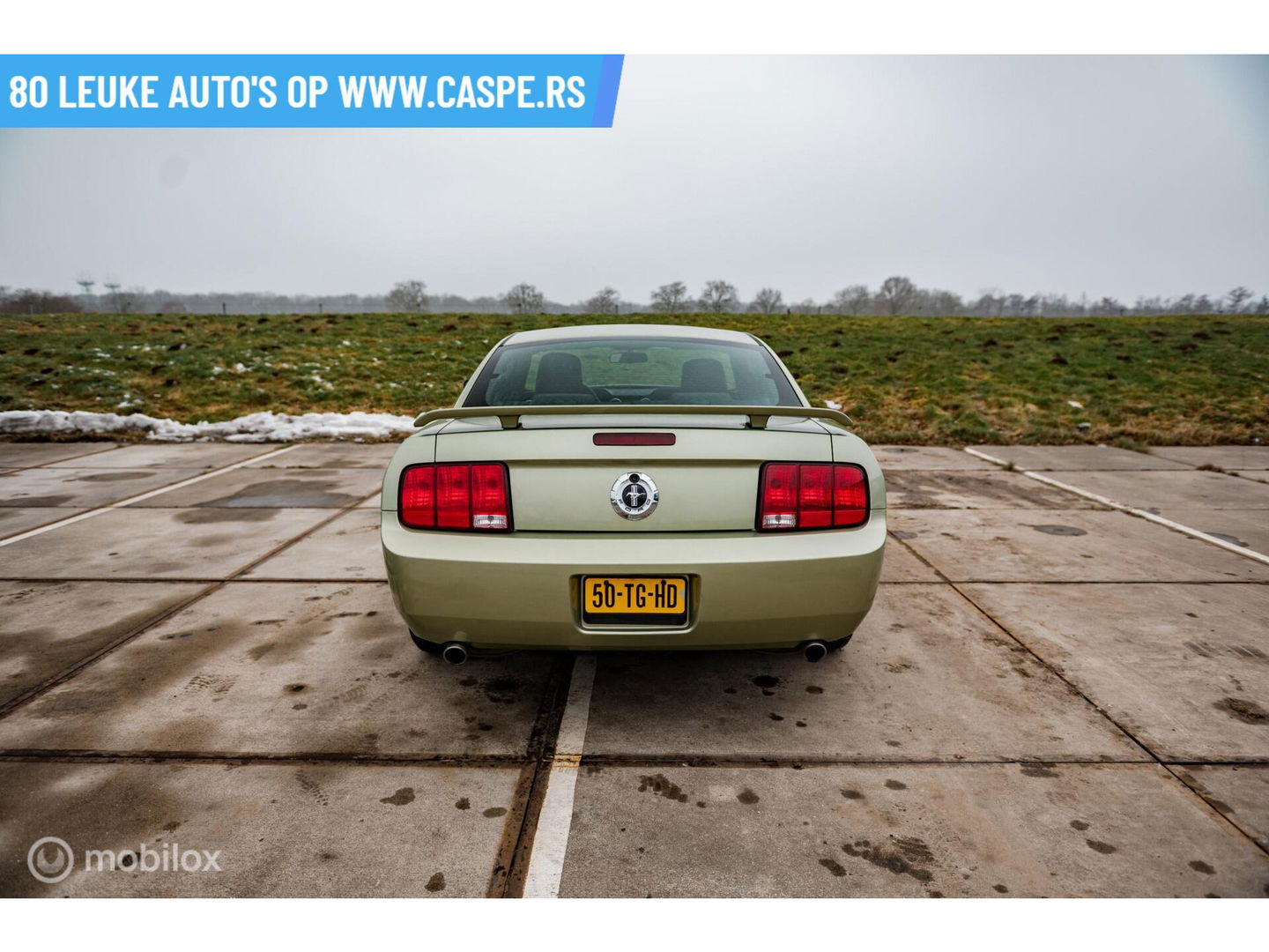 Ford USA Mustang 4.0 V6 | Handgeschakeld | LSD