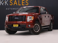 Ford F-150 - Ford F150 [LPG, TREKHAAK, CRUISE CONTROL, MICROSOFT SYNC, RESERVEWIEL, ELEK.RAMEN, CLIMATE CONTROL, NAVIGATIE,NIEUWSTAAT]