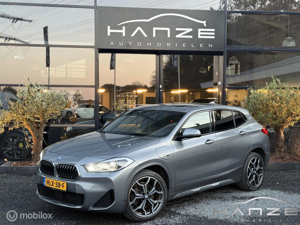 BMW X2