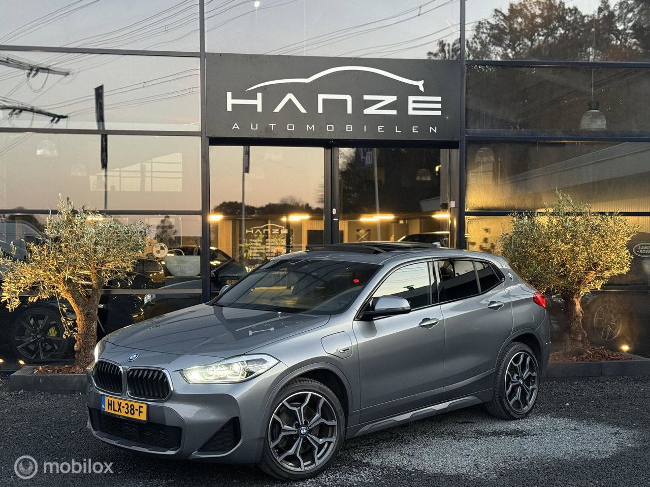 BMW X2