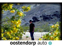 BMW X2 - sDrive20i High Executive Edition sdfsfsoo