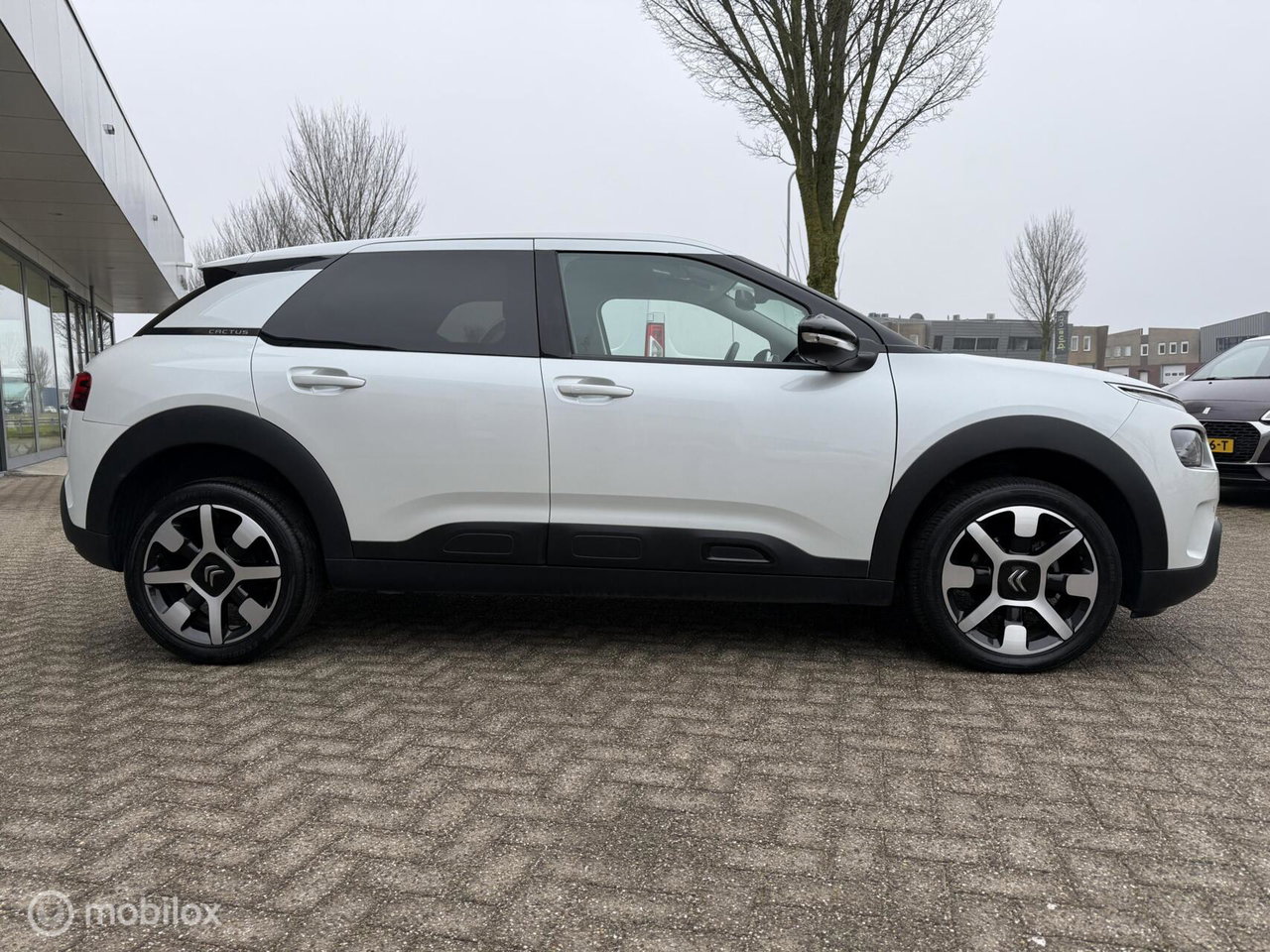 Citroën C4 Cactus