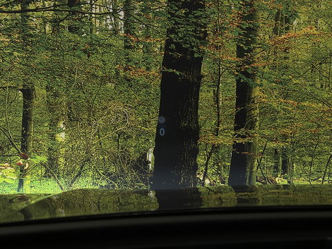 Volkswagen Tiguan 1.5 eHybrid R-Line Edition | Black Style | Panoramadak | Elektrische Trekhaak | 20" Lichtmetaal | Head-Up Display | Massage Stoelen | Dodehoeksensor | Lane Assist | Sportstoelen |