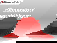 Ford Fiesta - 1.0 EcoBoost|Active|101Pk|Boekjes|Nap