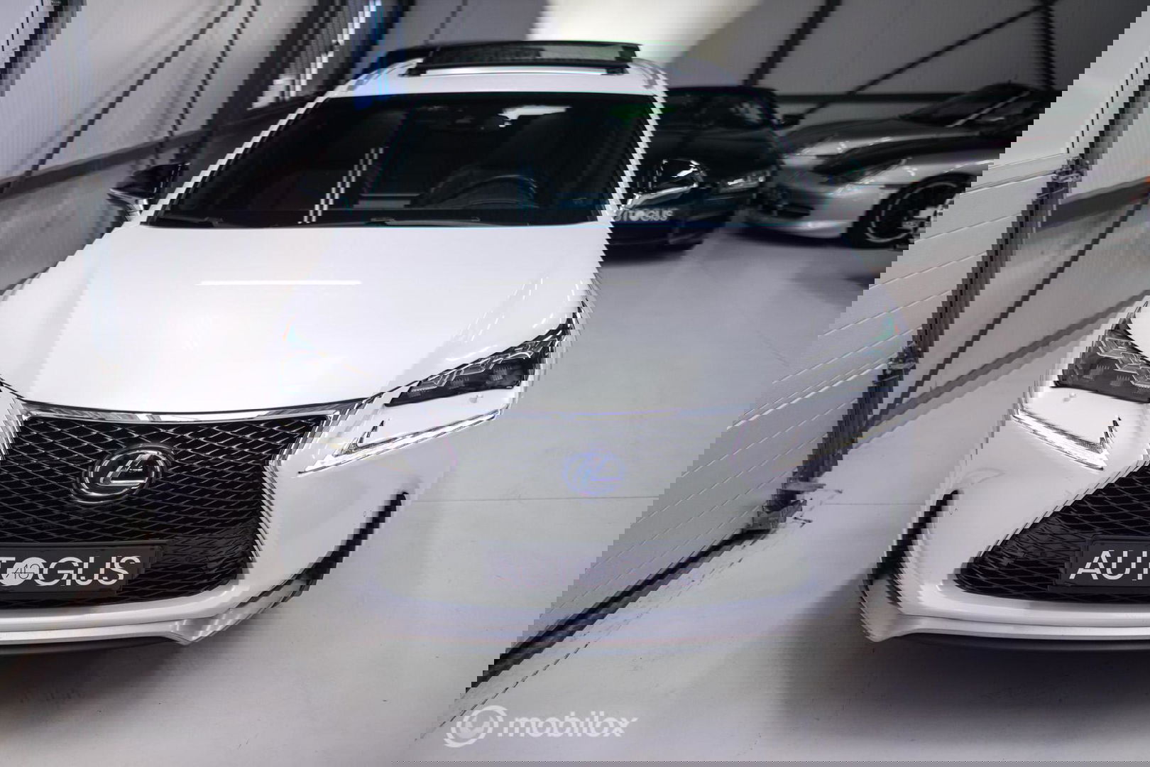 Lexus NX 300h AWD F Sport Line | Dealer onderhouden | Schuifdak | Winterpakket | Parelmoer | LED | Leder | HUD |