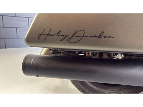 Harley Davidson FLHXS Street Glide Special Street glide  Mat Groen Blackout