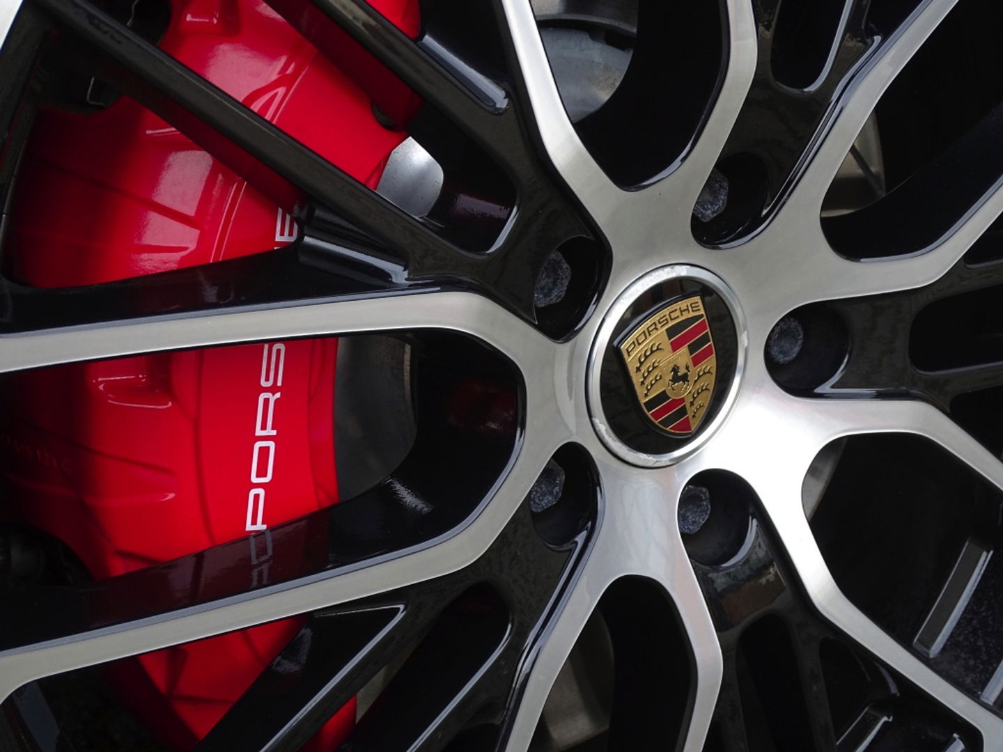 Porsche Panamera 4.0 V8 481PK GTS / carbon / alcantara / 360° / LED