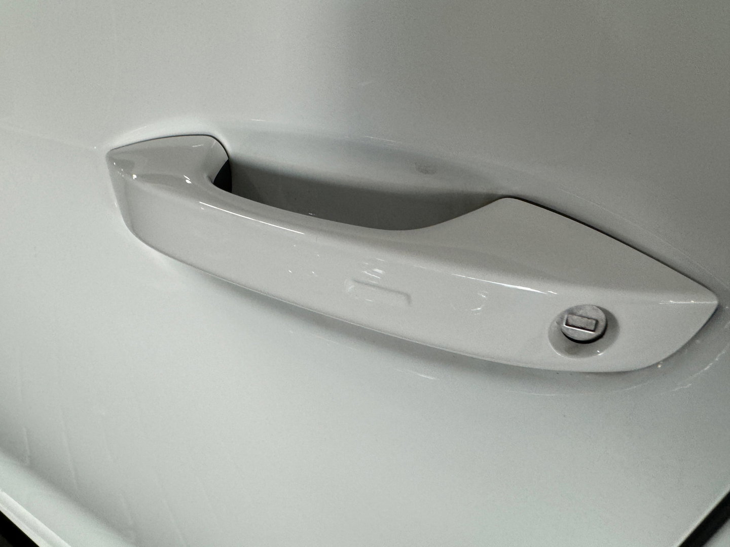 Volkswagen Golf 2.0 TSI R 4M Performance Pano|HuD|H/K|Akrapovic