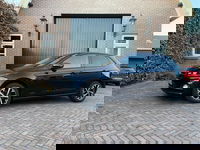 Volkswagen Polo - 1.0 TSI 115PK Beats HIGHLINE CLIMA STL VERW