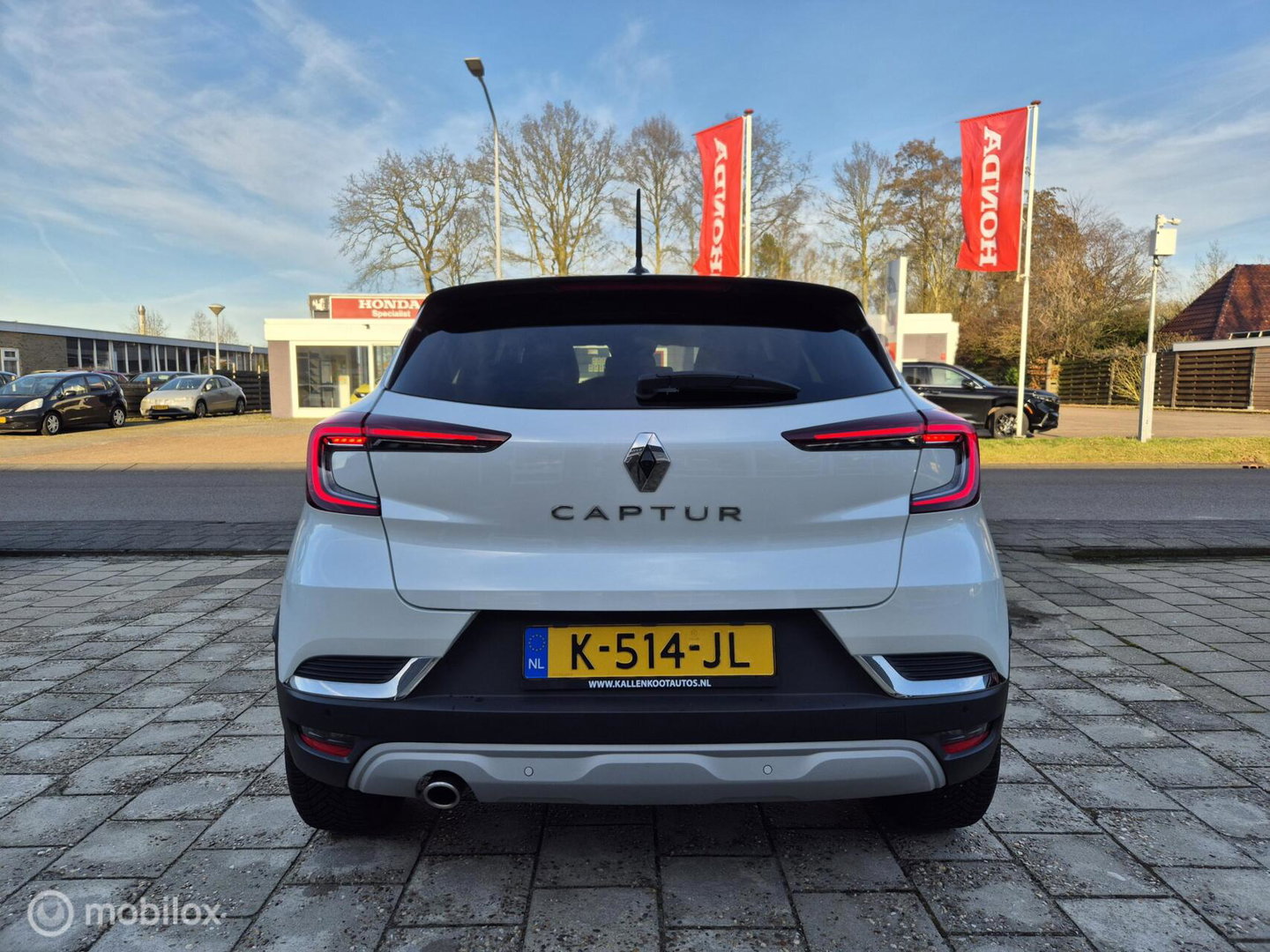 Renault Captur 1.0 TCe 90 Intens, Pano, Dealer onderhouden!