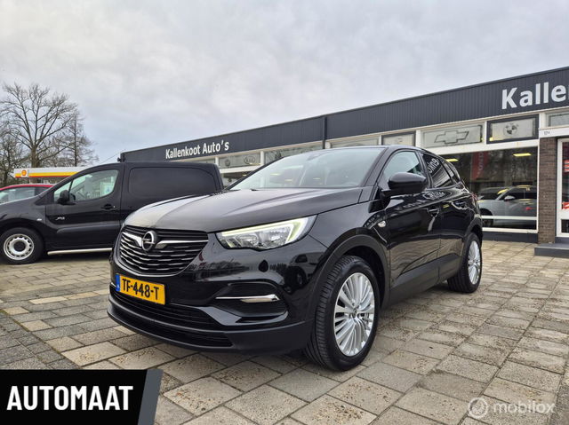 Opel Grandland X - 1.2 Turbo Online Edition, D-Riem vervangen!