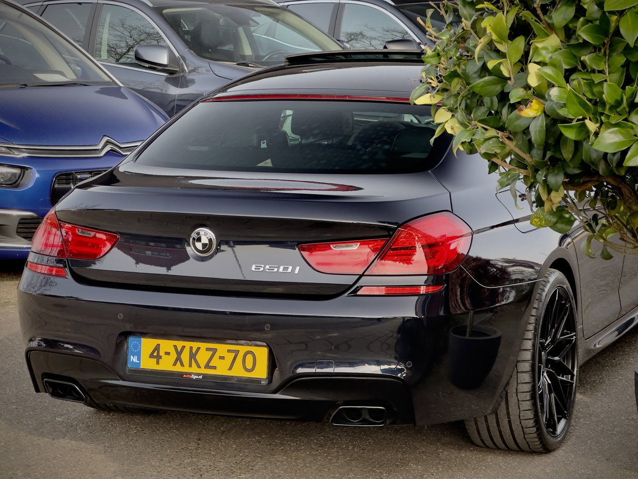 BMW 6 Serie