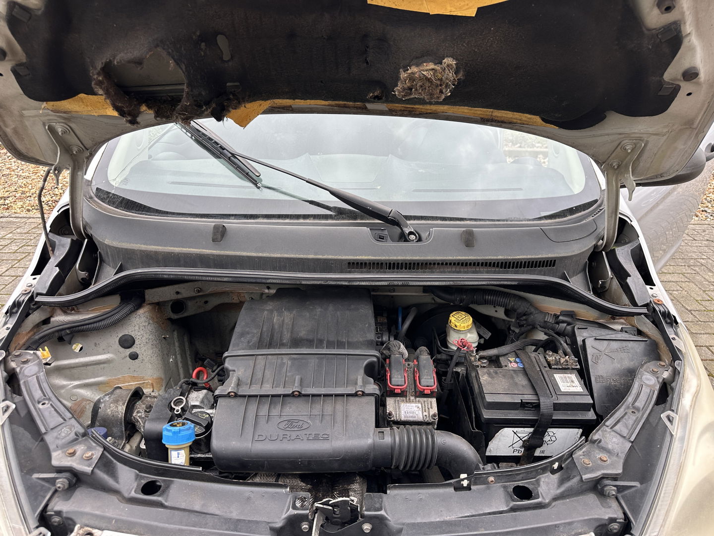 Ford Ka 1.2 Trend | Handel / Export |