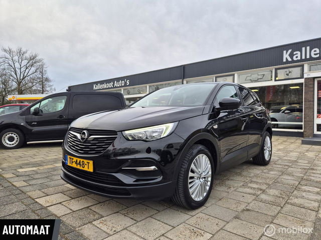 Opel Grandland X - 1.2 Turbo Online Edition, D-Riem vervangen!