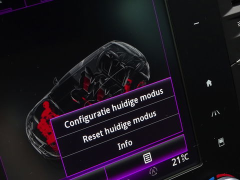 Renault Mégane 1.8 TCe 280PK RS / Bose / LED