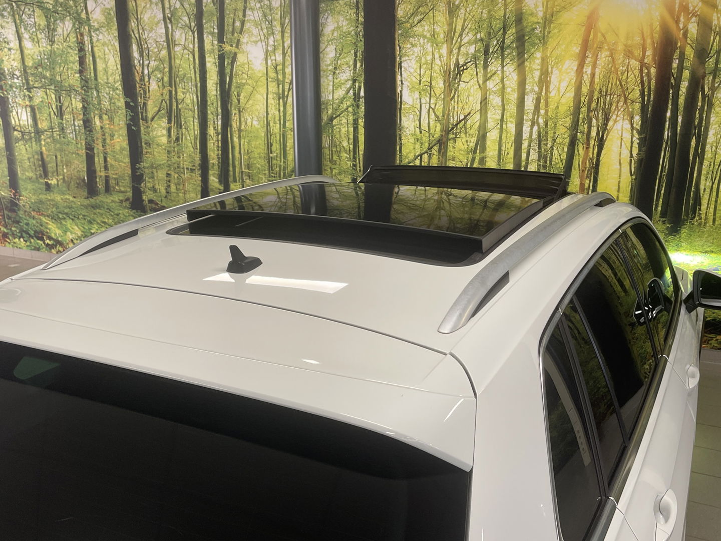 Volkswagen Tiguan 1.4 TSI 4Motion Highline Business R | Origineel Nederlands | Apple Carplay | Android Auto | Panorama dak | elektrische Trekhaak |