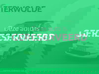 Fiat 500C - 0.9 TwinAir Turbo Lounge | Navigatie | Climate Control |