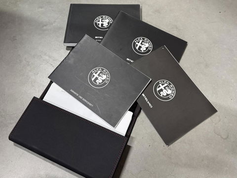 Alfa Romeo Stelvio 2.0 T Q4 Super ACC Memory Stoel/Stuurver. Camera