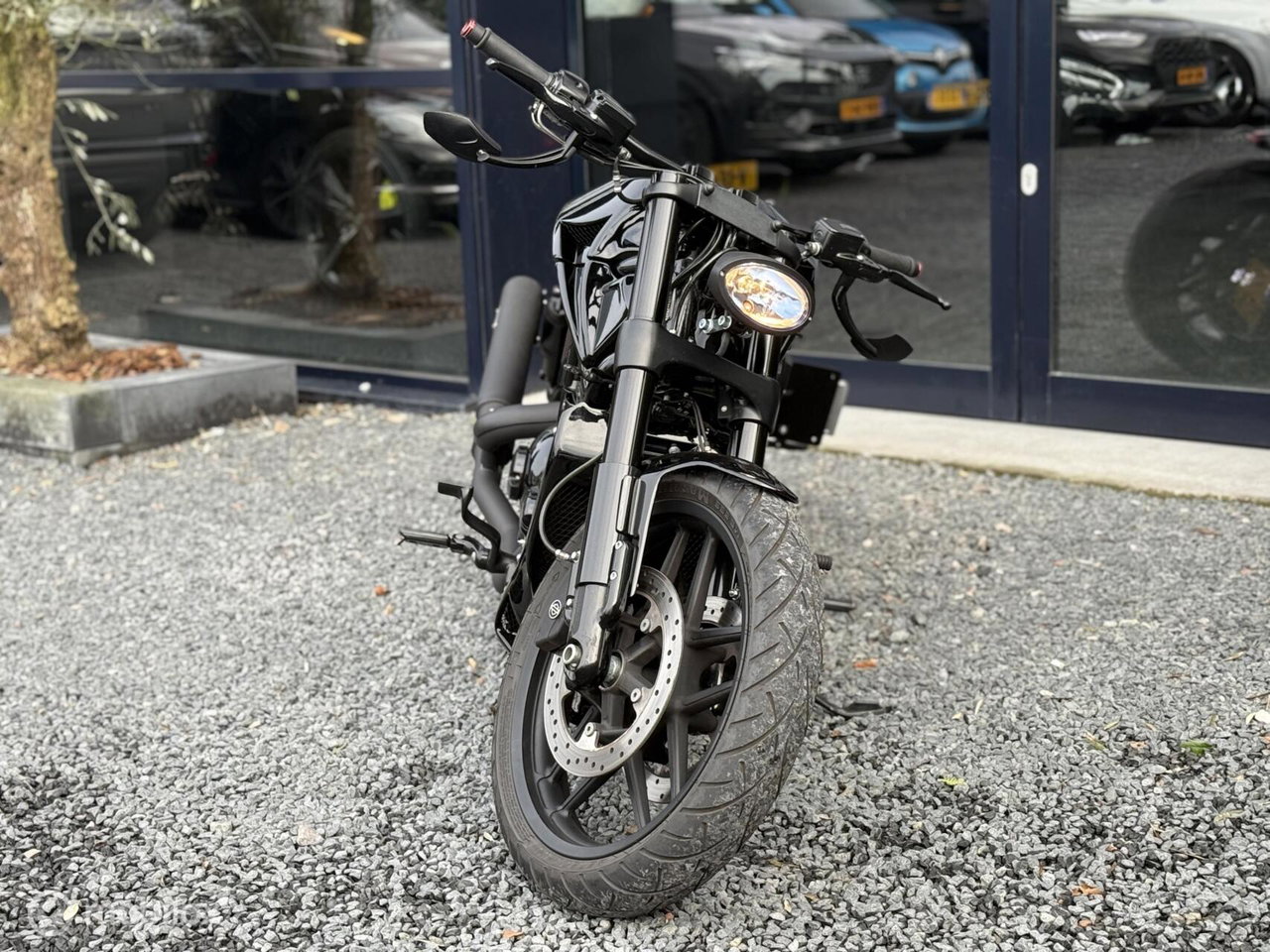 Harley-Davidson Night Rod