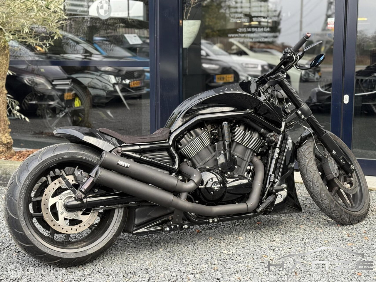 Harley-Davidson Night Rod