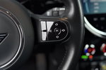 MINI Electric