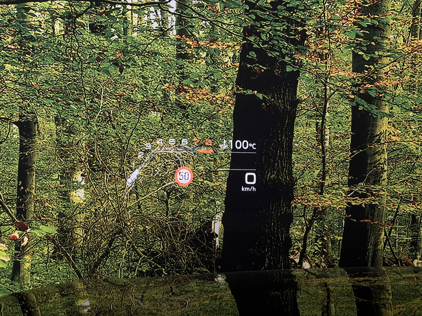 Audi RS Q8 4.0 TFSI RS Q8 quattro | Carbon Optiek Pakket | Dynamic Plus | Keramisch | 23'' lichtmetaal | Panoramadak | Massage | 600 Pk! | Head-up display | Trekhaak | Bang & Olufson |