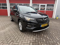 Opel Grandland X - 1.2 Turbo 131 PK | Business Executive | 45.000km! |