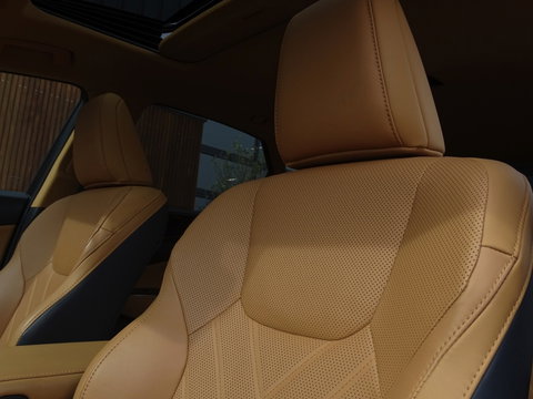 Lexus NX 450h+ AWD 309PK Launch Ed. / 360° *NAP*