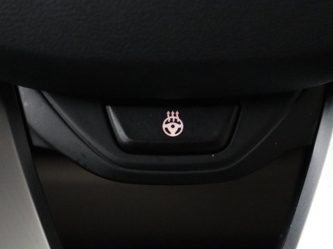 BMW 3-serie 320i High Executive Edition | Panoramadak | Leder | Stoel & Stuurverwarming | Adaptive Cruise | Sfeerverlichting