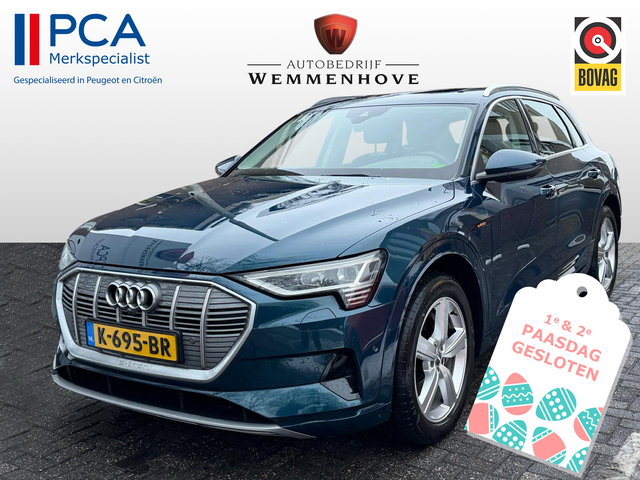 Audi e-tron - 55 quattro Business edition Plus 95 kWh