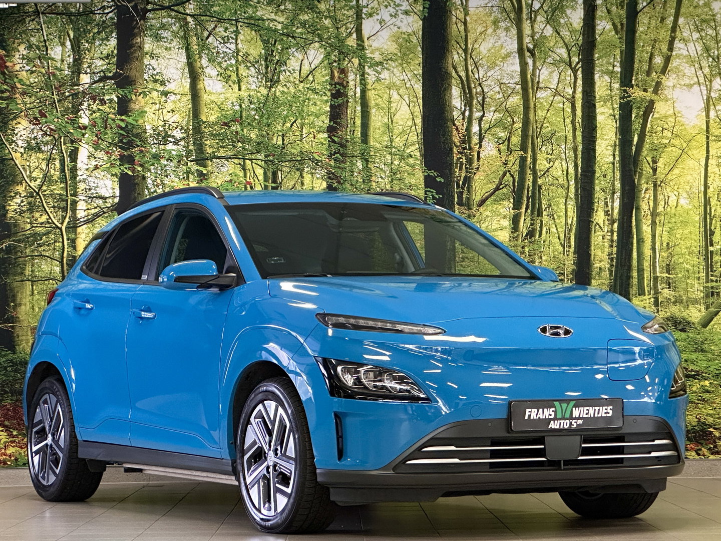 Hyundai KONA EV Comfort Smart 39 kWh | SOH 100% | Standkachel | Krell Sound | Camera | Stuurwielverwarming | Stoelverwarming | Lane Assist | Dodehoeksensor | Adaptieve Cruise Control | DAB |