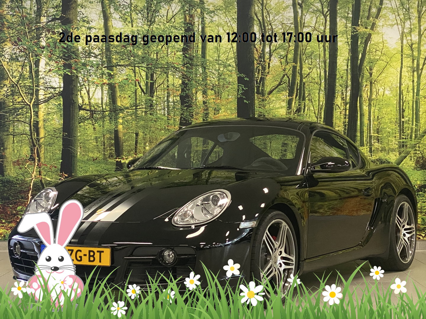 Porsche Cayman S 3.4 | Limited Edition | Origineel Nederland | Collectors item | 296 PK! | 614/777 |