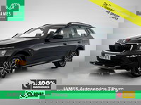 Škoda Kamiq - 1.5 TSI ACT Business Edition VIRTUAL | AD-CRUISE | EL-ACHTERKLEP | WINTER-PACK