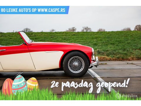Austin Healey 100 6