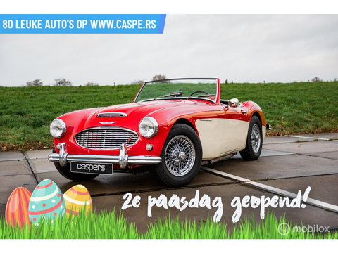 Austin Healey 100 6