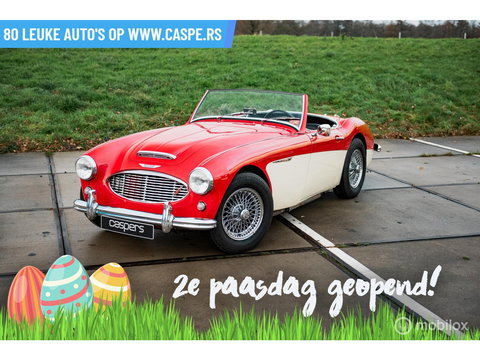 Austin Healey 100 6