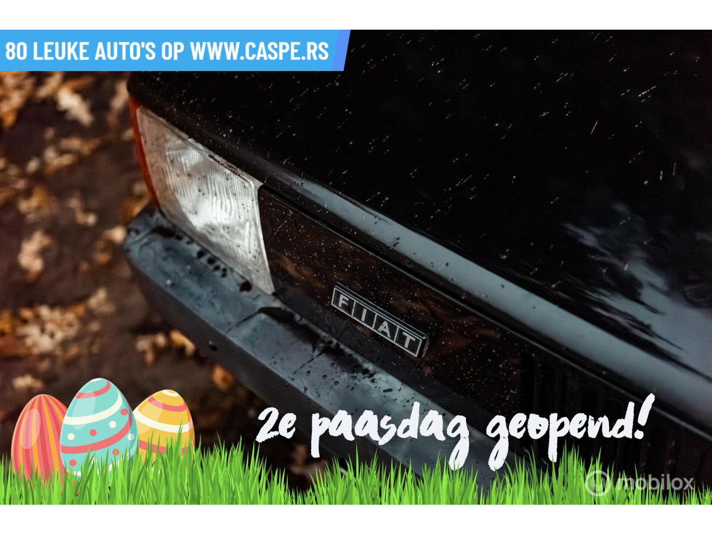 Fiat Panda 4x4 | Steyr-Puch | 1986 | Nette staat