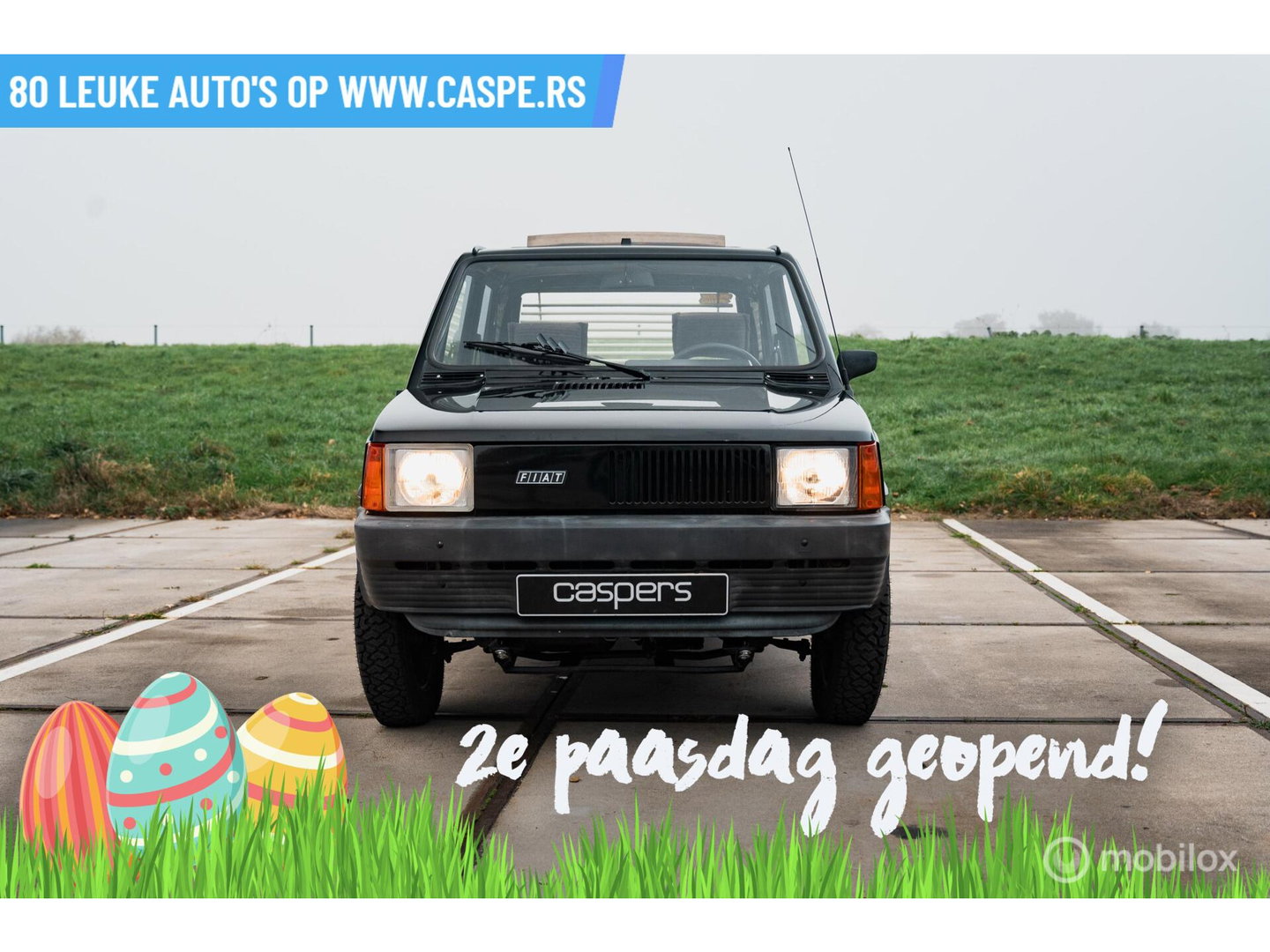 Fiat Panda 4x4 | Steyr-Puch | 1986 | Nette staat