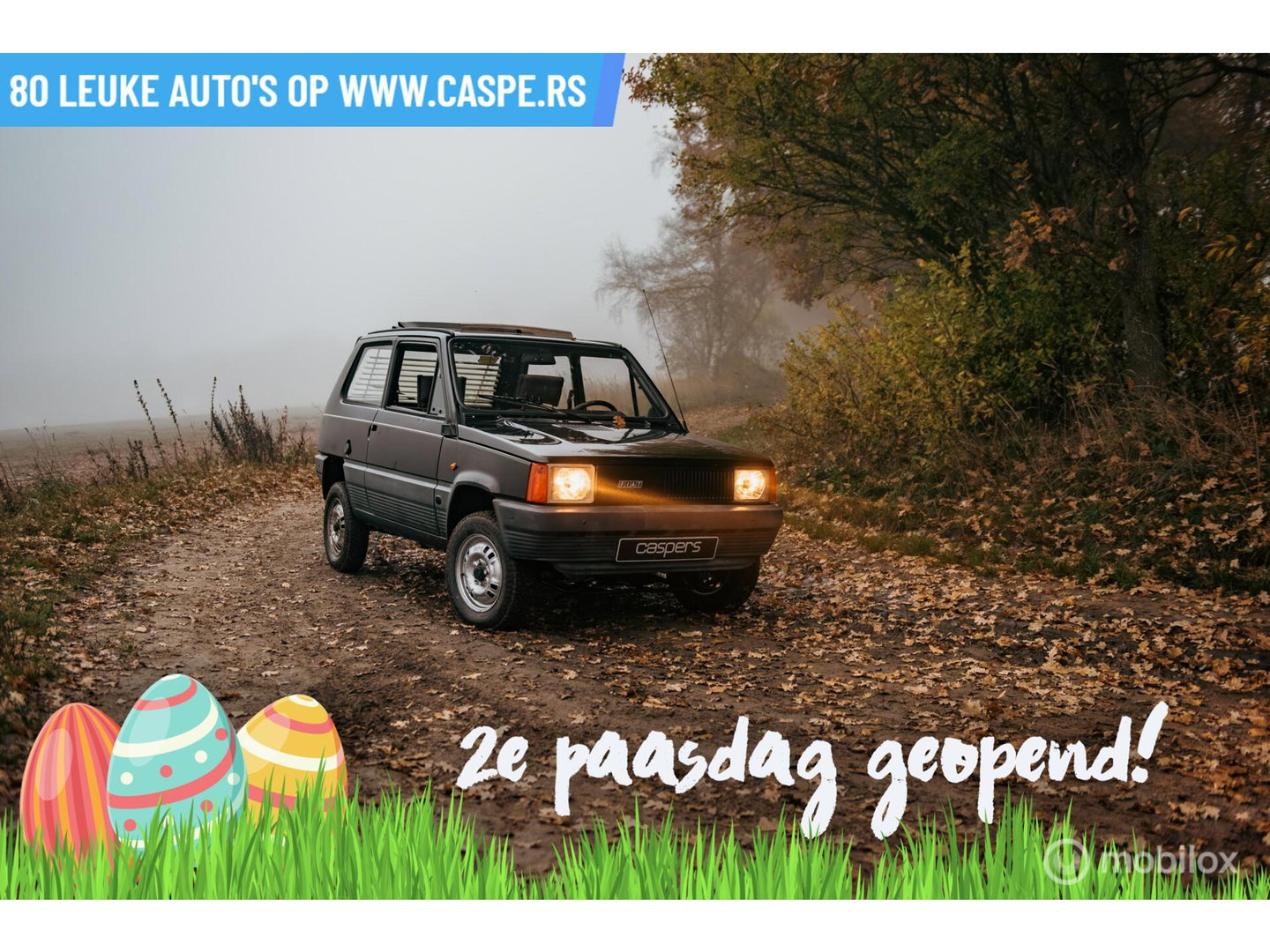 Fiat Panda 4x4 | Steyr-Puch | 1986 | Nette staat