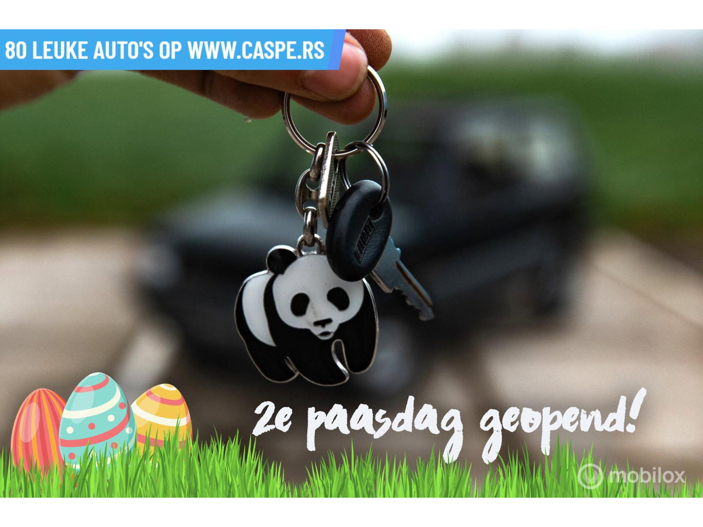 Fiat Panda 4x4 | Steyr-Puch | 1986 | Nette staat