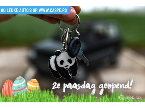 Fiat Panda 4x4 | Steyr-Puch | 1986 | Nette staat