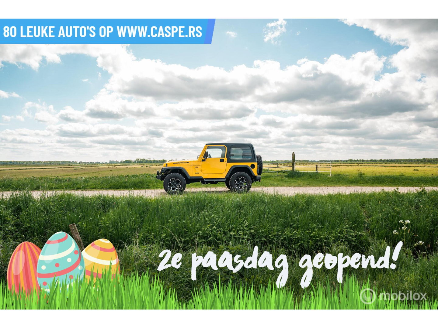 Jeep Wrangler 4.0i Hardtop Sport | LED | CarPlay | Lift-kit